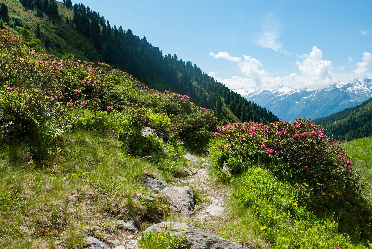 The Best Hiking Trails in Glacier National Park